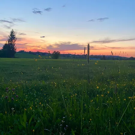 Traumhafte & Neu Eingerichtete 